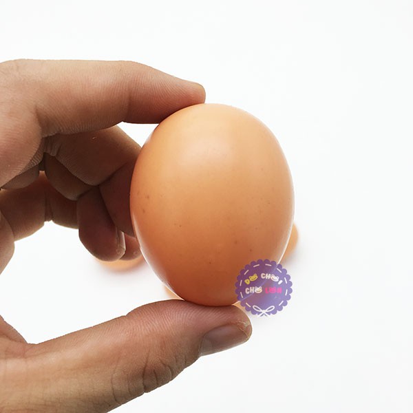 Bộ đồ chơi 12 quả trứng gà bằng nhựa túi lưới