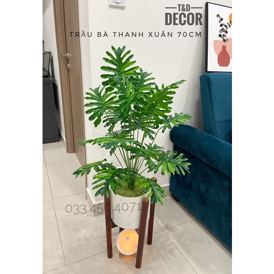 Cây giả decor - Cây trầu bà thanh xuân 70cm