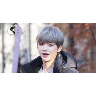 Thuốc nhuộm màu xám khói sáng + tặng oxi dưỡng/ 019