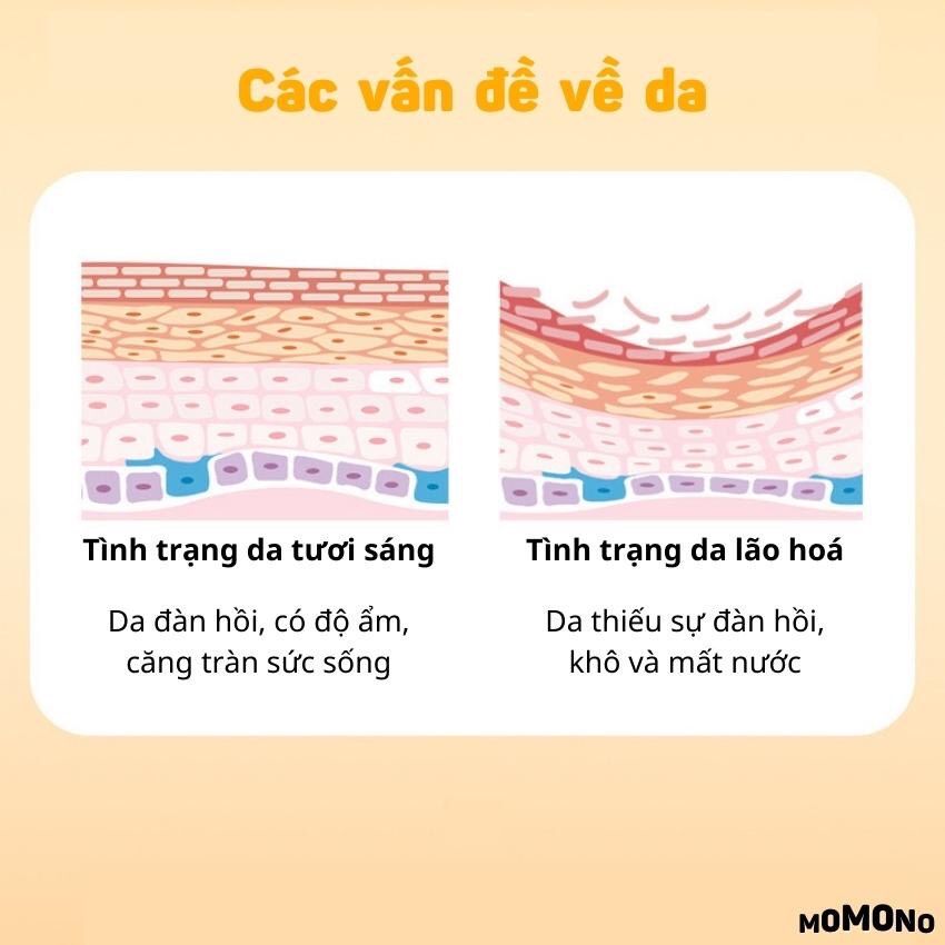 Kem Collagen dưỡng trắng dưỡng ẩm da mặt tinh chất Veze ECOBOTT