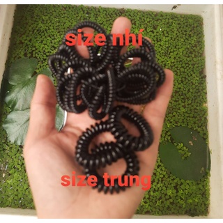 Sỉ 100 dây cột tóc lò xo đủ size