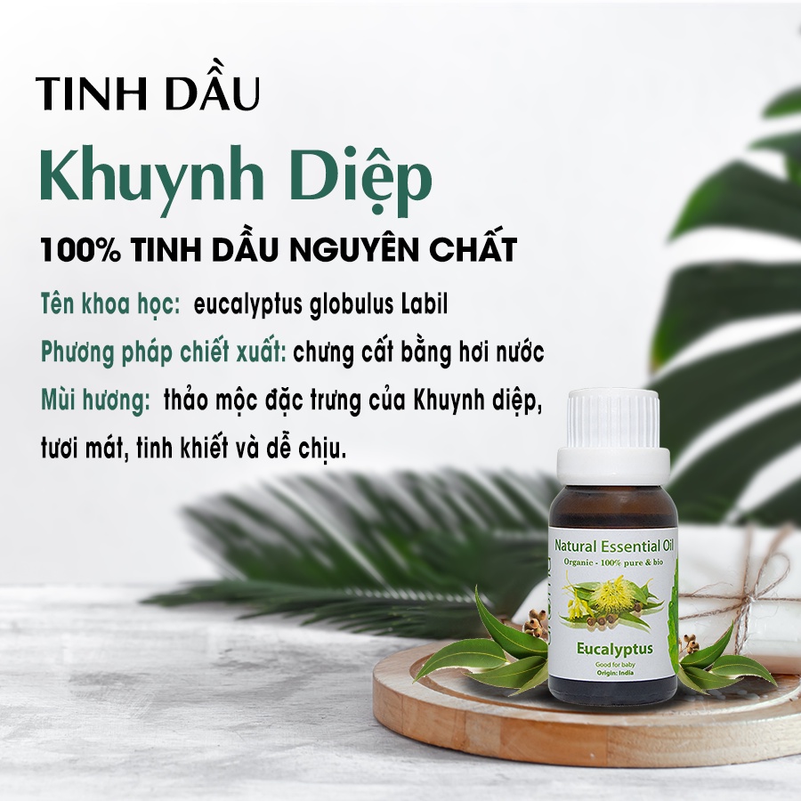 Tinh Dầu Tự Nhiên AROMA Khuynh Diệp 10ml