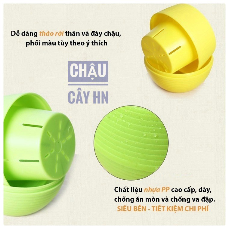 Chậu Nhựa Mini Trang Trí Văn Phòng 6 Màu