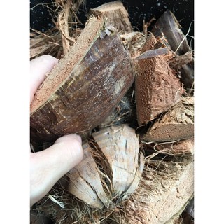 SIÊU RẺ - Xơ dừa đã qua xử lý, cán mềm dùng lót chậu, làm giá thể trồng lan 1kg hàng nhập khẩu.