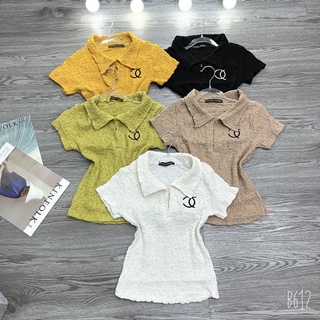 Áo thun body Pô Lô Xốp cổ bẻ thêu Lô Gô C.N