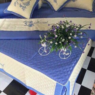 Bộ chăn ga gối cotton 7 món