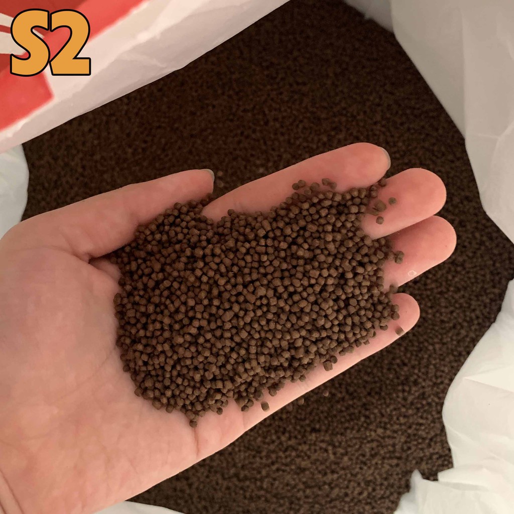 1KG Cám STELLA 40% Đạm Nổi Cho Cá Koi, Cá Lóc,... - Thức Ăn Cá Koi Tanh, Kích Ăn Cho Cá