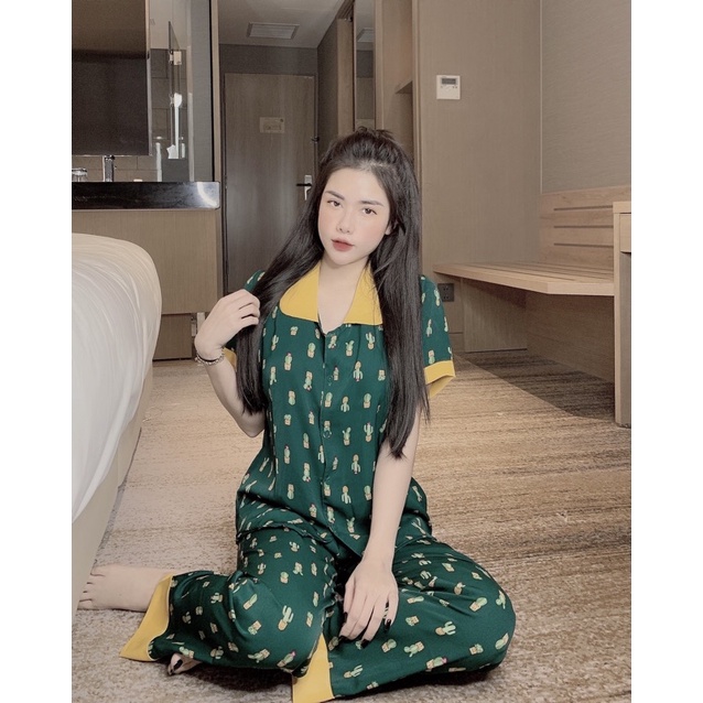 Bộ Xương Rồng , Tay dài cổ sen chất Mango Cao Cấp