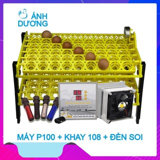 Máy ấp trứng mini Ánh Dương P100 kèm khay đảo tự động 108 trứng - kèm 2 món quà tặng, máy tự lắp thùng xốp