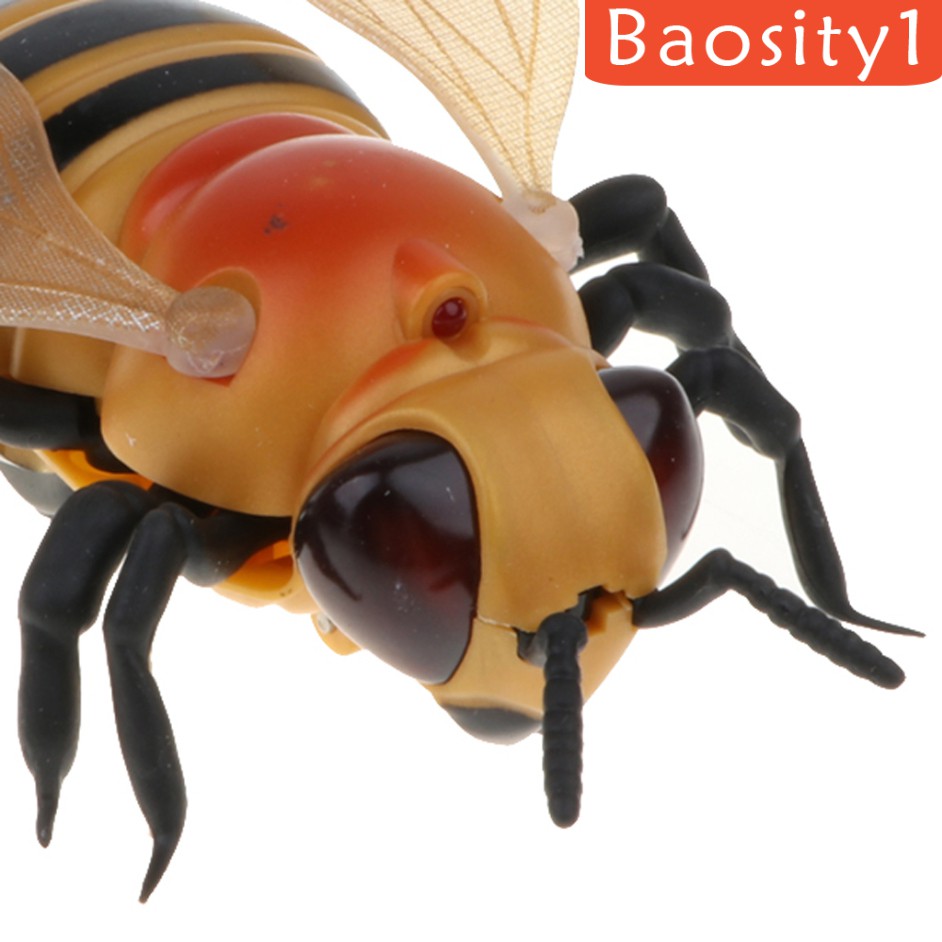 Đồ chơi điều khiển từ xa hình cô ong vui nhộn