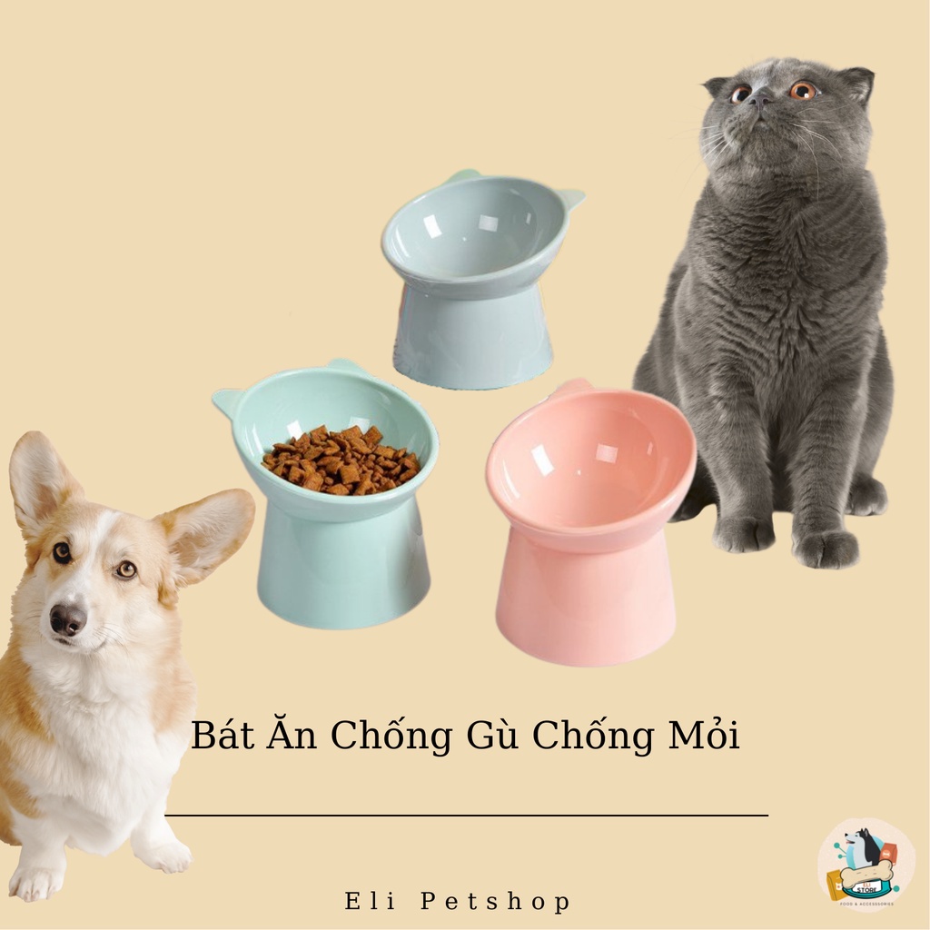 Bát Ăn Chó Mèo Chống Gù Lưng | Chén Đựng Thức Ăn Nước Uống Cổ Cao Bảo Vệ Lưng Cho Pet Thú Cưng
