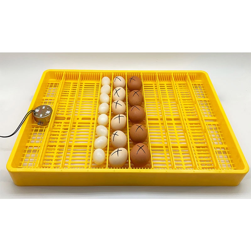 Máy ấp trứng ánh dương P100+ khay đảo lăn 60 trứng