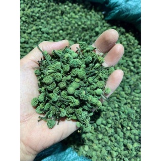 500g nụ tam thất bao tử