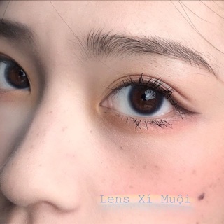 Lens Mắt Màu Xám Giãn Nhỏ Mini Ring Có Cận