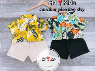 Bộ lá cành cho bé 10-24kg UL