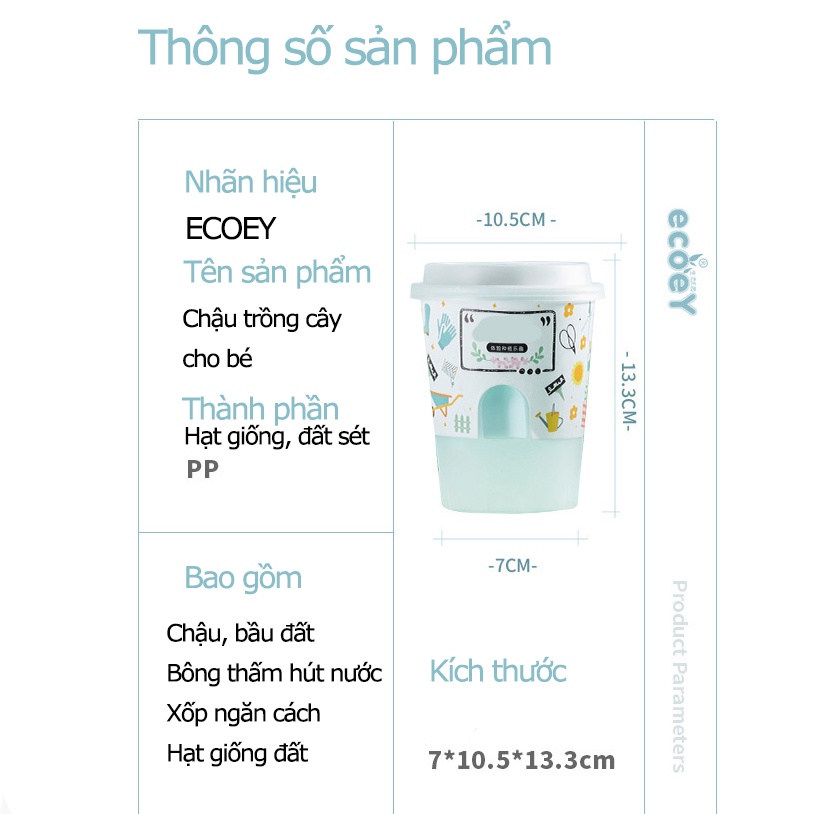 Đồ chơi chậu hạt giống cây trồng tự nảy mầm Hoàn Thành cho bé