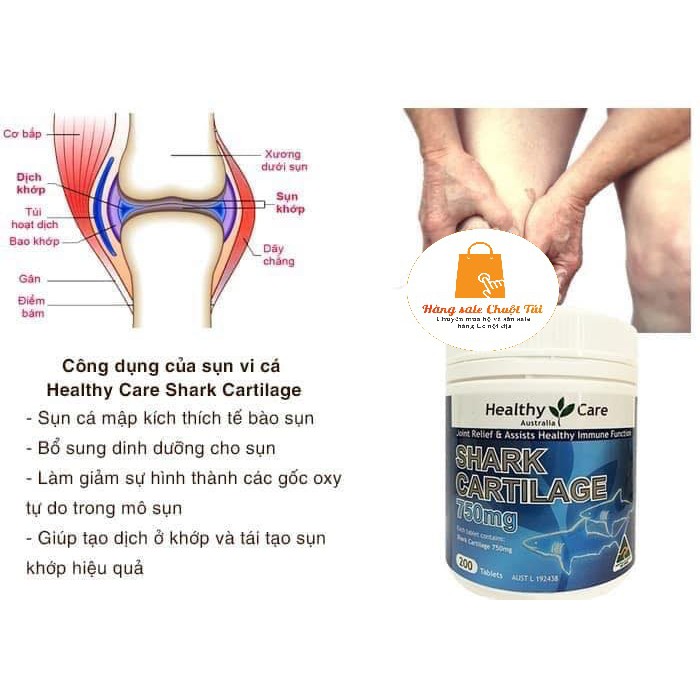 Viên uống sụn cá mập Healthy Care Shark Cartilage 750mg 200 viên
