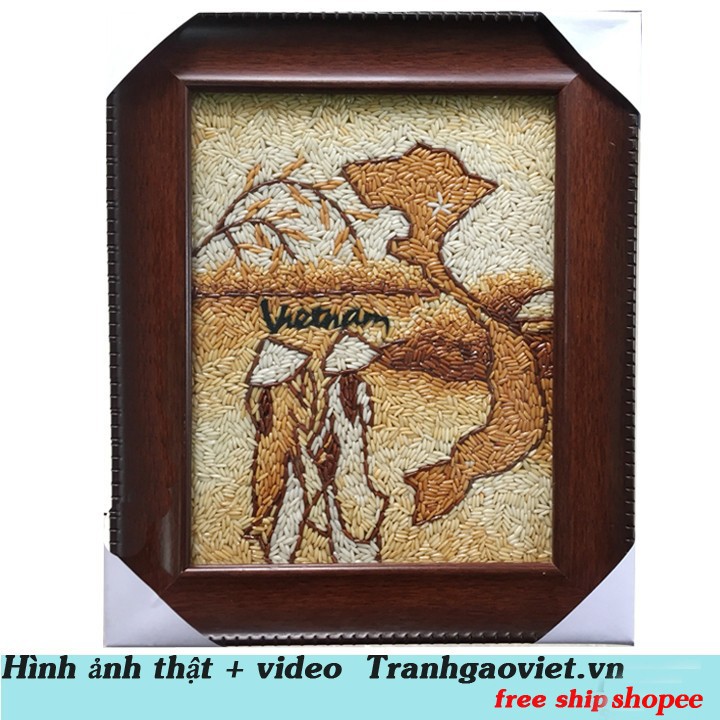 Hình ảnh và video thực tranh gạo 2 cô gái áo dài