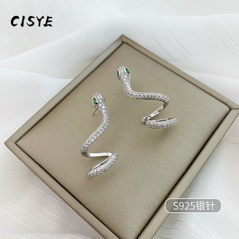 Khuyên Tai Nữ Trang Tạo Hình Độc Đáo