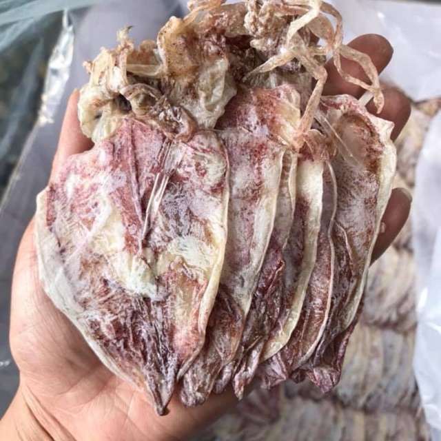 Combo mực câu vân đồn