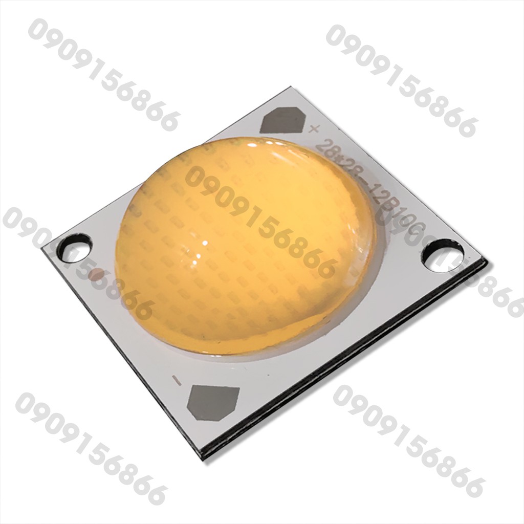 Mắt led 36v 50w cầu lồi