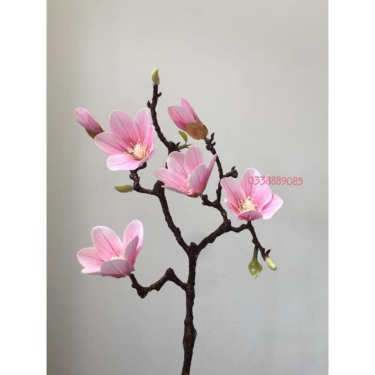 Cành hoa mộc lan 4 bông 2 nụ