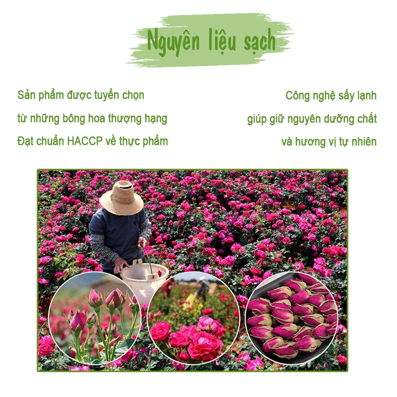 Trà Hoa Hồng Sấy Khô ❤️Freeship❤️ 200gr Đẹp Da, Giảm Stress, Thải Độc, Chống lão hóa