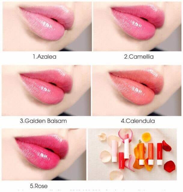 💕Son Dưỡng Môi Innisfree Glow Eco Flower Tint Balm . #1xx💕