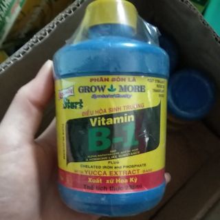 Phân bón dinh dưỡng cho lan B1 mỹ