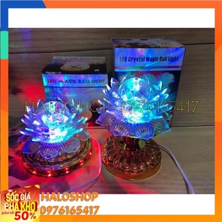 Đèn Led trang trí cầu xoay hình hoa sen đế vàng
