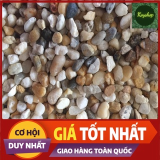 Sỏi ba màu trang trí bể cá, hồ cá, bể thuỷ sinh 1Kg
