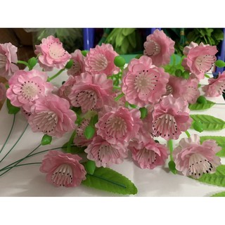 1KG HOA ĐÀO NHẠT CHÙM