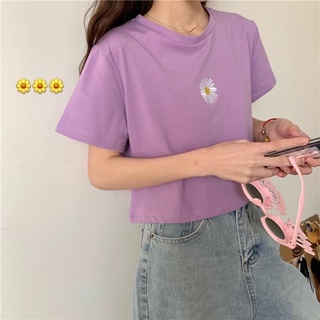 Áo croptop thêu hoa cúc