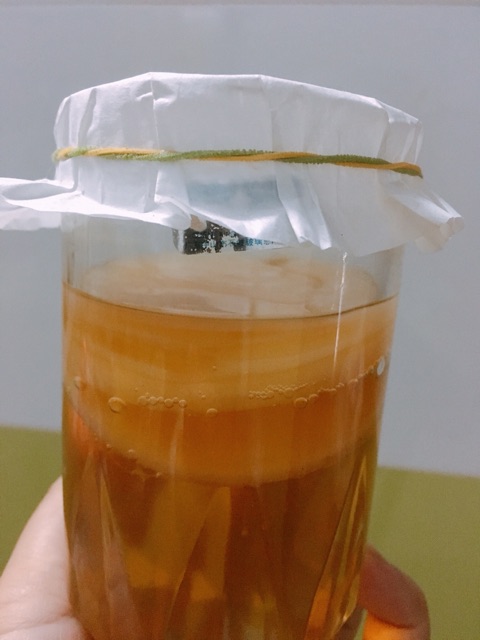 Set scoby trà đường làm kombucha+ quà tặng | BigBuy360 - bigbuy360.vn