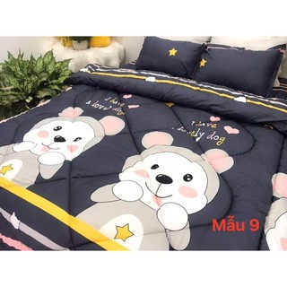 ga giường cotton