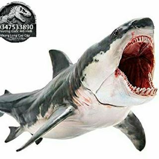 Mô hình cá mập Megalodon hãng PnSo