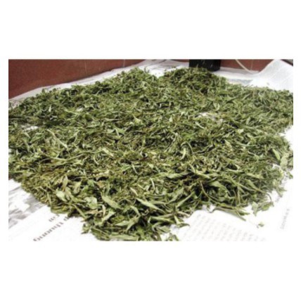 Lá Đinh Lăng khô 1KG  hàng chuẩn loại 1