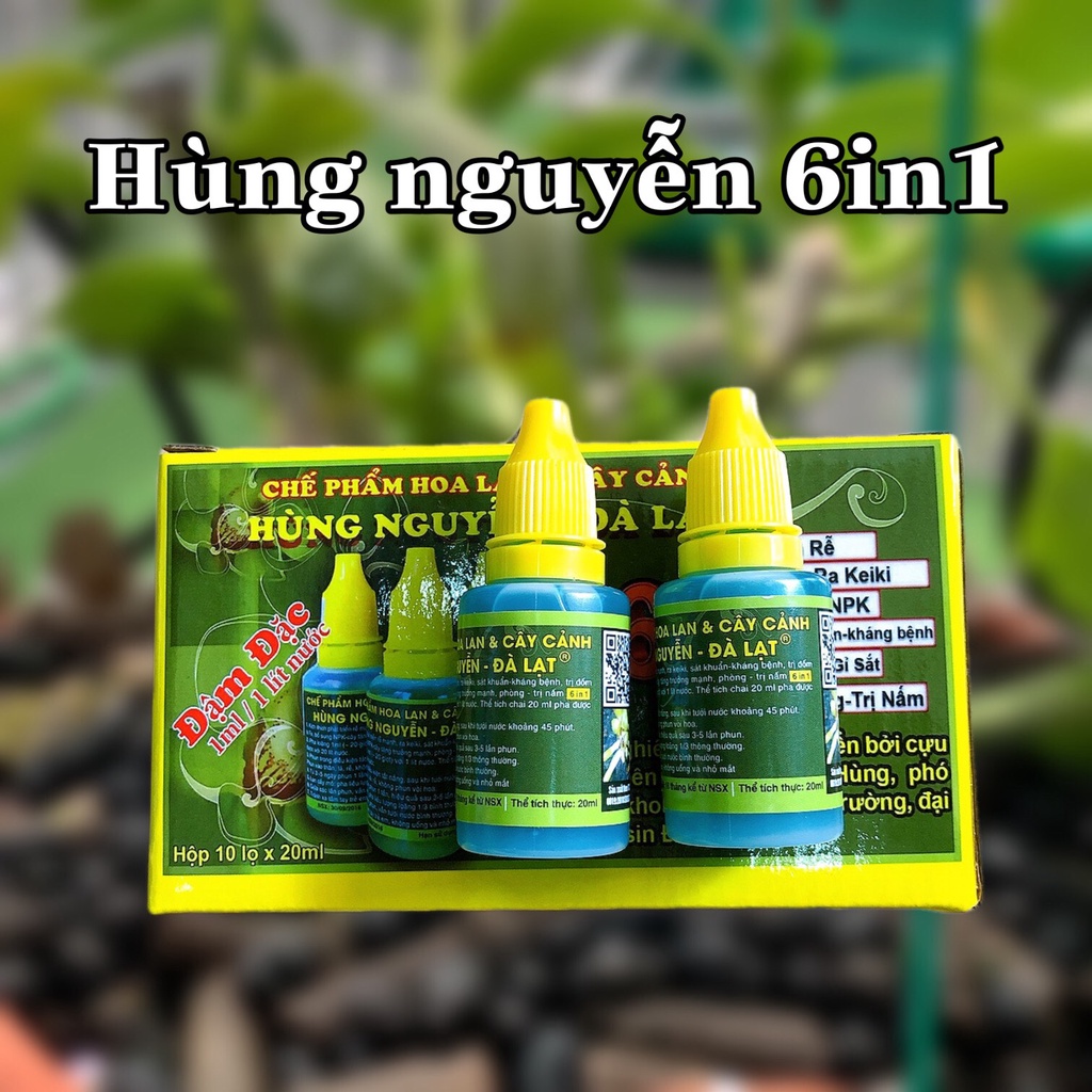 CHẾ PHẨM HÙNG NGUYỄN – kích rễ, kích kie, 6in1