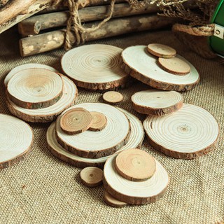 Khoanh Gỗ Thông Tròn Nhiều Kích Thước