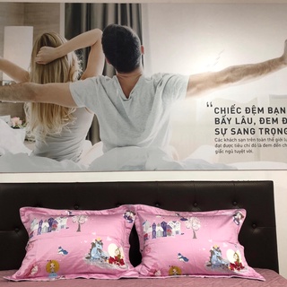 Vỏ gối Everon EPC19056 45*65 (1 cái)