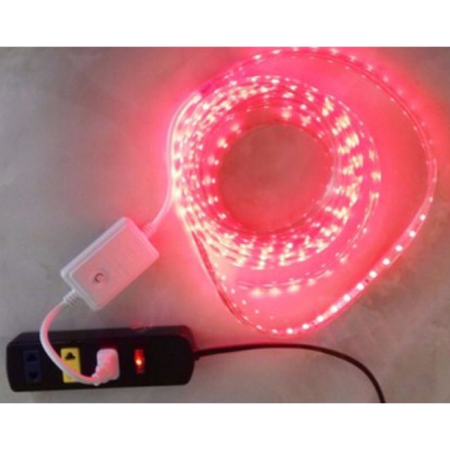 Dây nguồn đèn nháy led