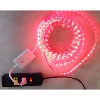 Dây nguồn đèn nháy led