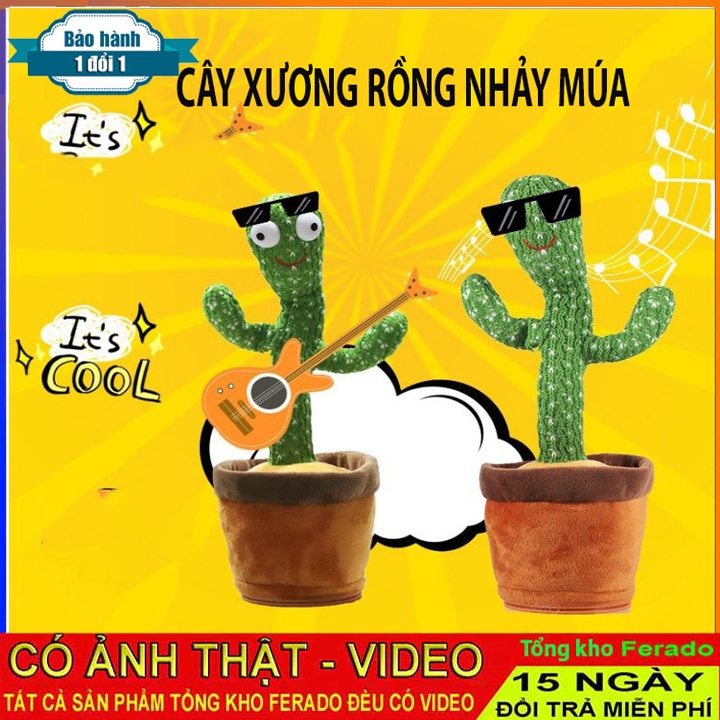 Xương rồng nhại tiếng, phát nhạc, nhảy múa vui nhộn