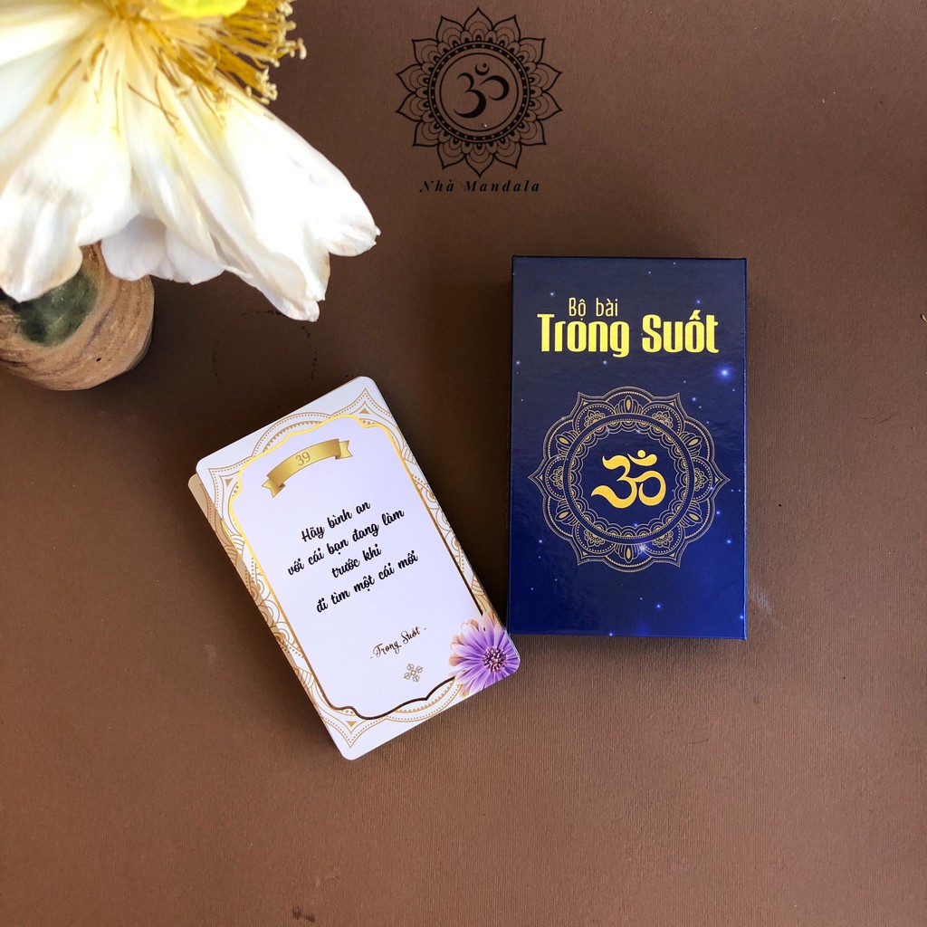Bộ Bài Trong Suốt [ FREESHIP ] Lời Khuyên Trí Tuệ Mỗi Ngày