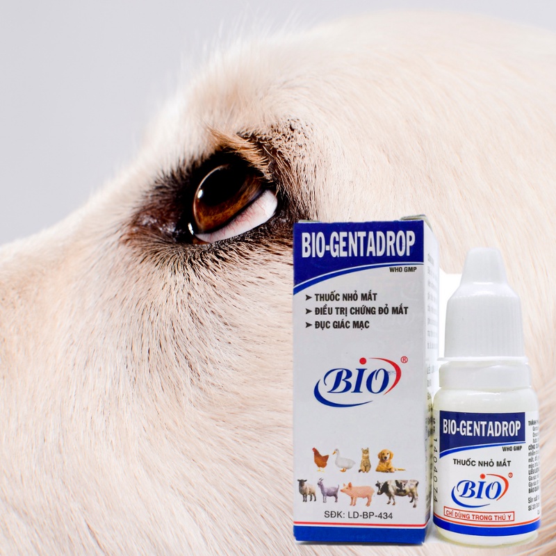 Nhỏ mắt Chó Mèo Bio GentaDrop - Trị đau mắt đục giác mạc viêm đỏ ngứa vệ sinh mắt thú cưng