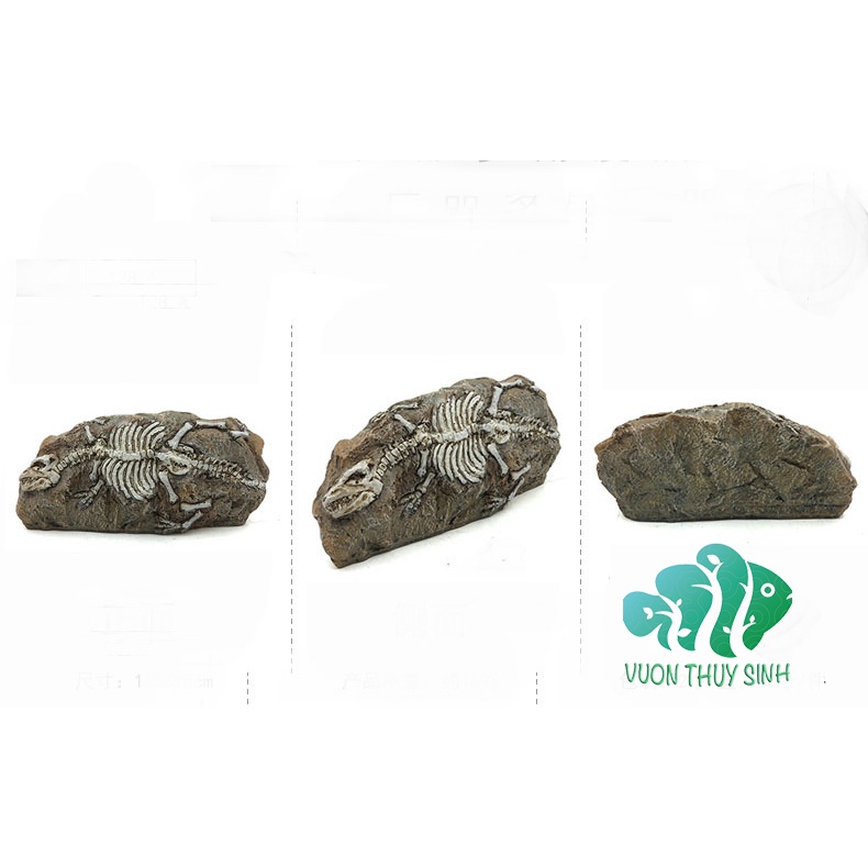 Mô hình bộ hoá thạch thời tiền sử trang trí bể cá, bể thuỷ sinh