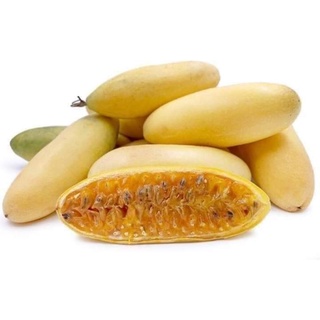 Cây giống chanh leo chuối