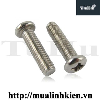 VÍT SẮT 3X10MM(combo 10c)
