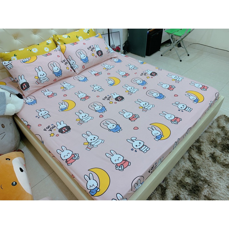 Ga Gối polly các mẫu KuTe