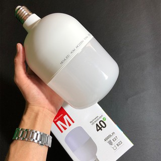 Bóng đèn led bulb NEWLED 40W